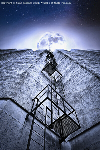 Ladder to the Full Moon Picture Board by Taina Sohlman