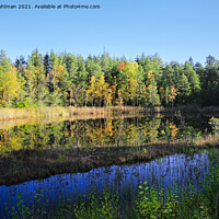 Buy canvas prints of Small Marshland Lake in Fall Colors by Taina Sohlman