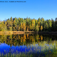 Buy canvas prints of Small Marshland Lake in Autumnal Colors by Taina Sohlman