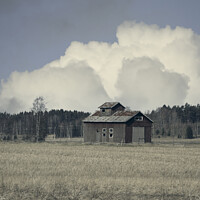 Buy canvas prints of Isolated Barn in Field in the Spring by Taina Sohlman