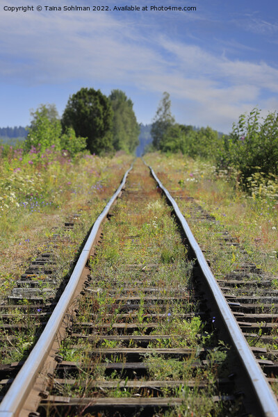 Narrow Gauge Railway in the Summer  Picture Board by Taina Sohlman