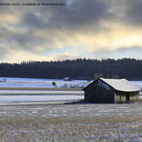 Buy canvas prints of Wooden Barn Under Moody Sky in Winter  by Taina Sohlman