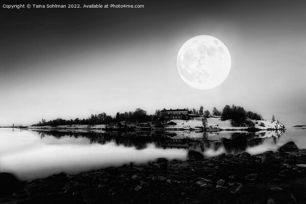 Full Moon over Harakka Island Monochrome Picture Board by Taina Sohlman