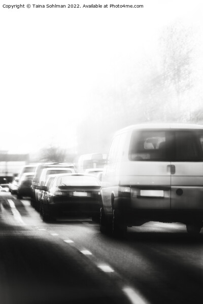Late Afternoon Traffic in City Crossing Monochrome Picture Board by Taina Sohlman