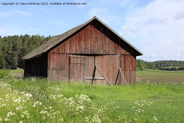 Red Wooden Barn in Field Picture Board by Taina Sohlman