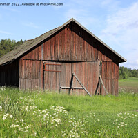 Buy canvas prints of Red Wooden Barn in Field by Taina Sohlman