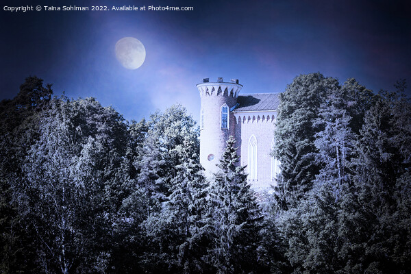 Hirvilinna Castle at Night  Picture Board by Taina Sohlman