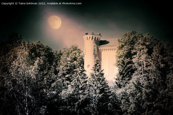 Hirvilinna Castle in Moonlight Picture Board by Taina Sohlman