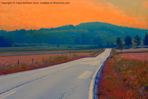 Rural Road at Summer Dawn Picture Board by Taina Sohlman