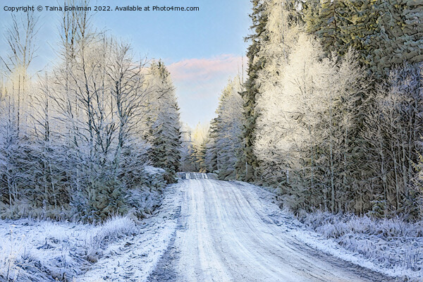 Country Road in Middle of Winter Digital Art Picture Board by Taina Sohlman