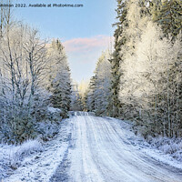Buy canvas prints of Country Road in Middle of Winter Digital Art by Taina Sohlman