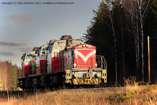 Three VR Diesel Locomotives At Speed Picture Board by Taina Sohlman