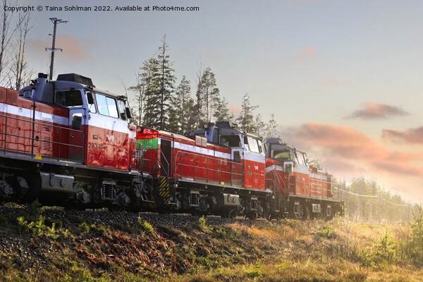 Three Diesel Engines At Speed Towards Sunset  Picture Board by Taina Sohlman