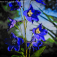 Buy canvas prints of Blue Delphinium  by Taina Sohlman