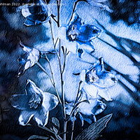 Buy canvas prints of Delphinium Blue Monochrome by Taina Sohlman