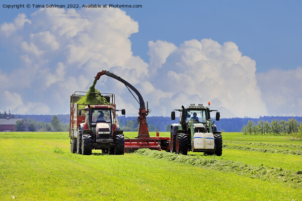 Tractors Harvesting Grass with Forage Harvester  Picture Board by Taina Sohlman