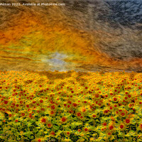 Buy canvas prints of Fiery Sunrise over Sunflower Field  by Taina Sohlman
