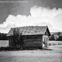 Buy canvas prints of Small Rural Barn with Birds Black and White by Taina Sohlman