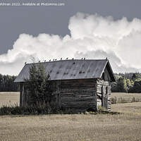 Buy canvas prints of Small Rural Barn with Birds on the Roof by Taina Sohlman