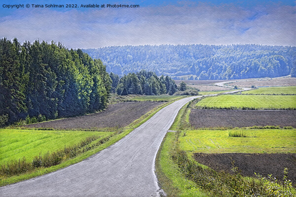 August Haze over Winding Country Road  Picture Board by Taina Sohlman