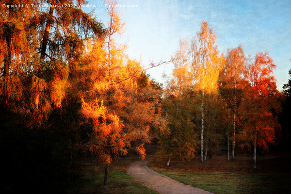 Autumn Impressions 2 Picture Board by Taina Sohlman