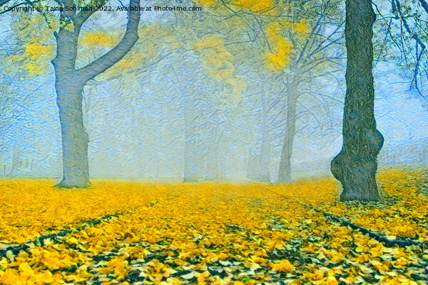Blue Mist and Yellow Leaves Picture Board by Taina Sohlman