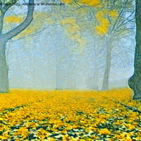 Buy canvas prints of Blue Mist and Yellow Leaves by Taina Sohlman