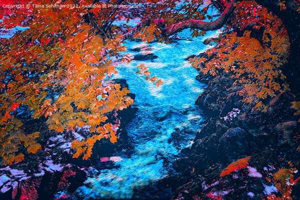Autumnal Sjundby Streams Digital Art Picture Board by Taina Sohlman