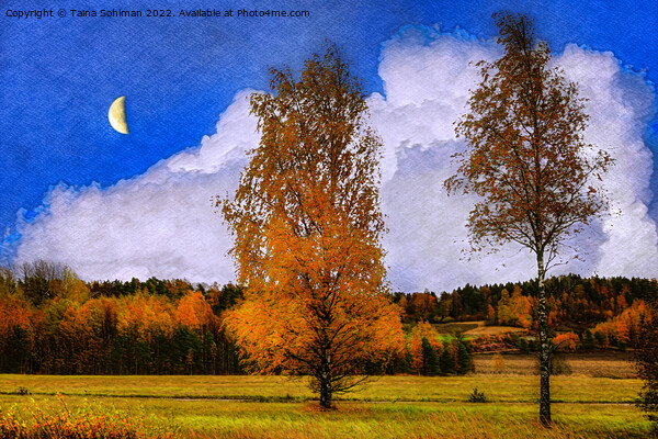 October Nightfall with the Moon Picture Board by Taina Sohlman