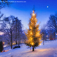 Buy canvas prints of Illuminated Christmas Tree at Uskela Church, Finla by Taina Sohlman