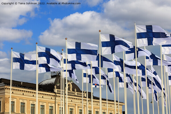 Installation of 100 Flags of Finland Picture Board by Taina Sohlman