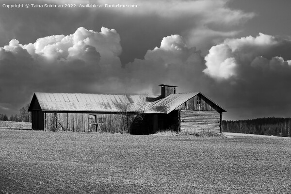 Country Barn Under Cloudy Sky Monochrome Picture Board by Taina Sohlman