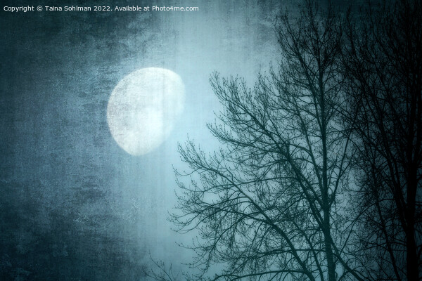 Winter Moon Picture Board by Taina Sohlman