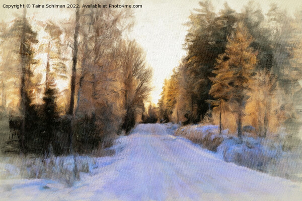 Golden Light on Rural Road in Winter Picture Board by Taina Sohlman