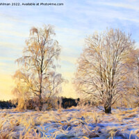 Buy canvas prints of Morning Sunlight on Frosted Trees on Christmas Day by Taina Sohlman