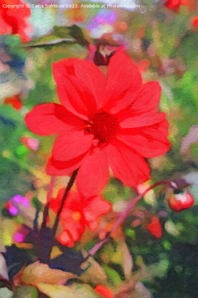 Red Dahlia Picture Board by Taina Sohlman