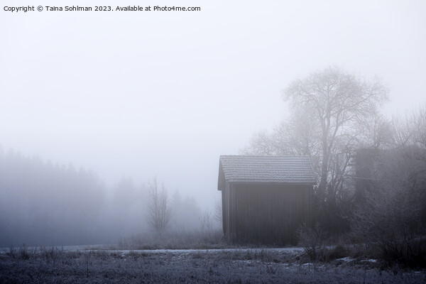 Old Barn on a Foggy Winter Morning Picture Board by Taina Sohlman