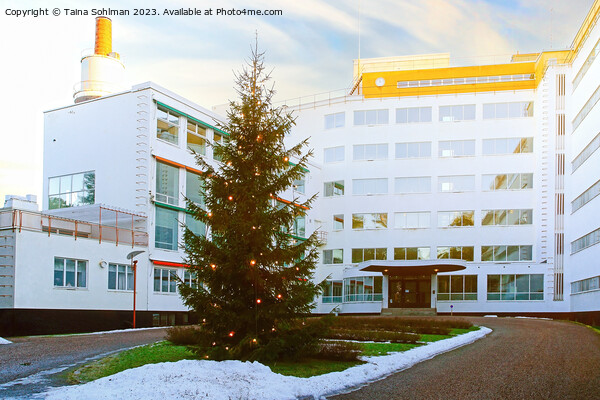Christmas Tree at Paimio Sanatorium by Alvar Aalto Picture Board by Taina Sohlman