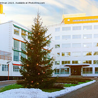 Buy canvas prints of Christmas Tree at Paimio Sanatorium by Alvar Aalto by Taina Sohlman