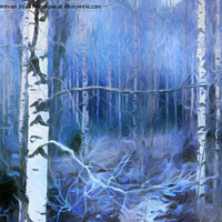 Buy canvas prints of Enchanted Winter Forest  by Taina Sohlman