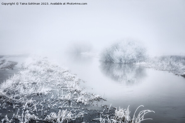 Flooded River in Winter Fog Monochrome Picture Board by Taina Sohlman