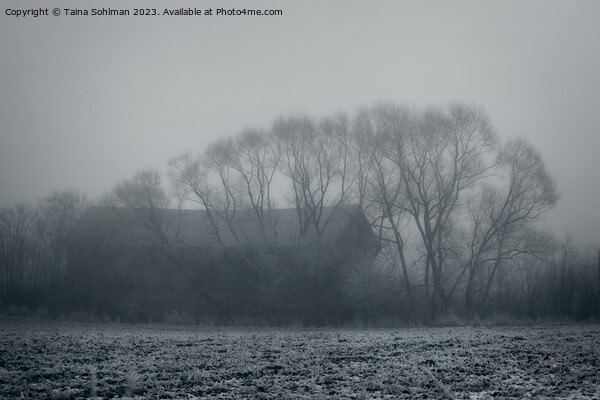 Mystic Barn and Trees in Winter Fog Picture Board by Taina Sohlman