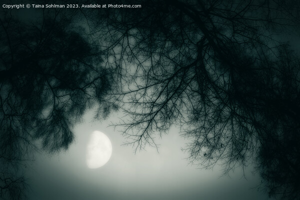 Misty February Moon Monochrome Picture Board by Taina Sohlman