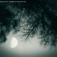 Buy canvas prints of Misty February Moon Monochrome by Taina Sohlman