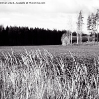 Buy canvas prints of October Country Scene Black and White by Taina Sohlman