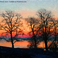 Buy canvas prints of Trees at Daybreak by Taina Sohlman