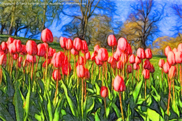 Pink Tulips in the Spring Impressions Picture Board by Taina Sohlman