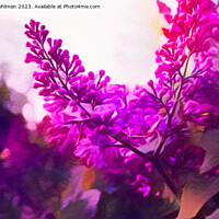 Buy canvas prints of Dream of Lilacs 2 by Taina Sohlman