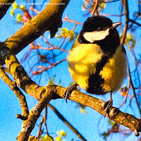 Buy canvas prints of Great Tit, Parus Major in the Spring by Taina Sohlman