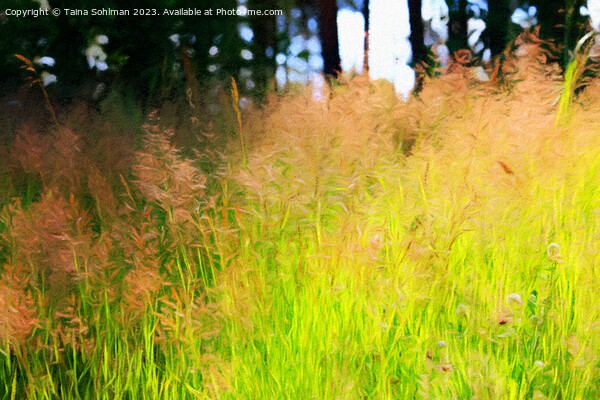 Sunlight on Grass Abstract Picture Board by Taina Sohlman